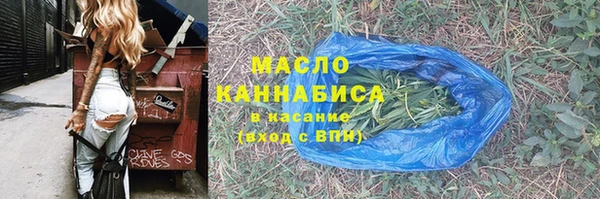 индика Протвино