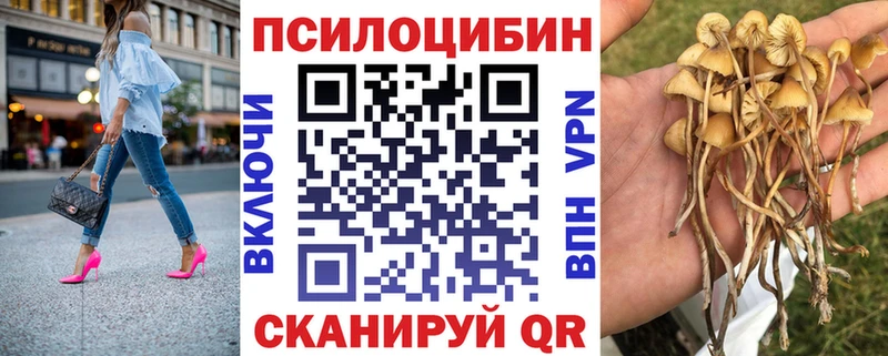 дарнет шоп Калининград Псилоцибиновые грибы мицелий