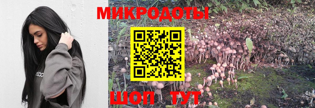 даркнет сайт  Псилоцибиновые грибы ЛСД  Вход с VPN  Галлюциногенные грибы ЛСД  Калининград 